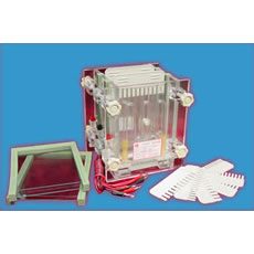 �p��A��ʽ��ֱ�Ӿ�� DYCZ-28C