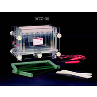 �p��A��ʽ��ֱ�Ӿ�� DYCZ-30