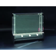 DNA���з����Ӿ�� DYCZ-20C