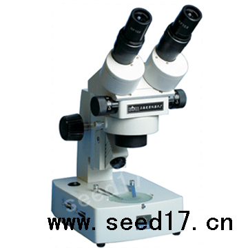 �B�m(x��)׃���wҕ�@΢�R XTZ-E