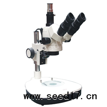 �B�m(x��)׃���wҕ�@΢�R PXS-EX