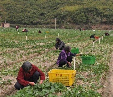 �м����^��I(y��)���o�����߲��_�l(f��)���޹�˾����