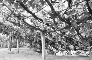 ��������©���Nֲ��һ�o��