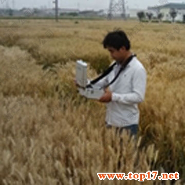 ����ڌӜضȜy���x TOP-500