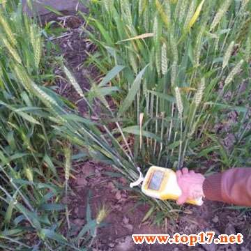 ��yʽ���￹�����y���x YYD-ID