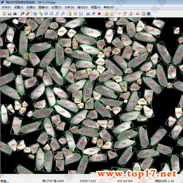 ���|(zh��)�ж��x