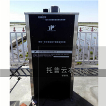 ���Ӳ�׽��