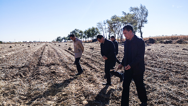 �x���A�������������ָ�����������(y��ng)�����L(zh��ng)���ں�������