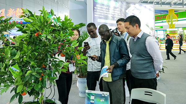 �������r(n��ng)���������ͼ��g(sh��)�ɹ����õ��ˬF(xi��n)�������L�͵��P(gu��n)ע�c�ڴ�