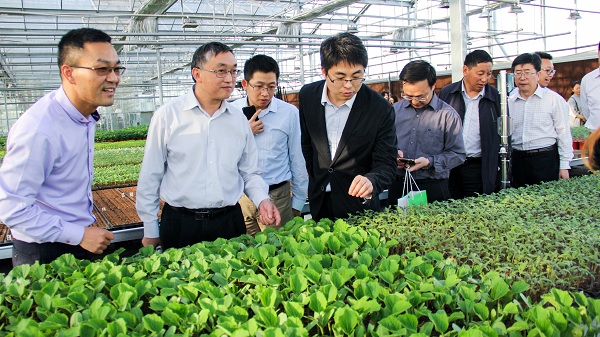 ������ͨ�^�֙C(j��)�˲鿴�����x��y����x��O(ji��n)�y�D���A(y��)����(sh��)��(j��)