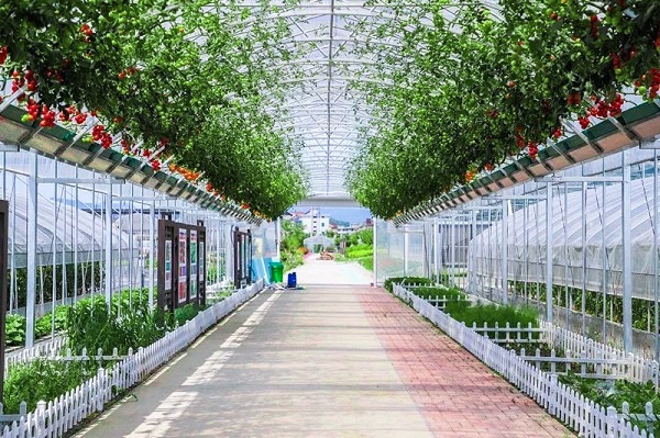 �����L(zh��ng)��