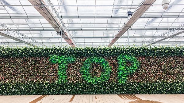 �������r(n��ng)ȫ�Ԅ��й�ʽ���Ҵ�����ʽ���