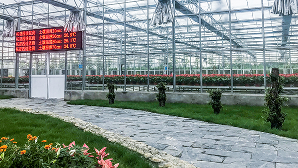 �������r(n��ng)ȫ�Ԅ��й�ʽ���Ҵ�����ʽ���