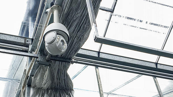 �������r(n��ng)ȫ�Ԅ��й�ʽ���Ҵ�����ʽ���