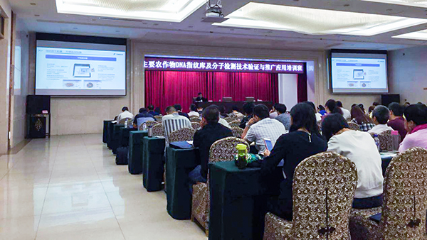 �������r(n��ng)�����}�R��