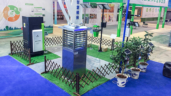 �������rչ�_2