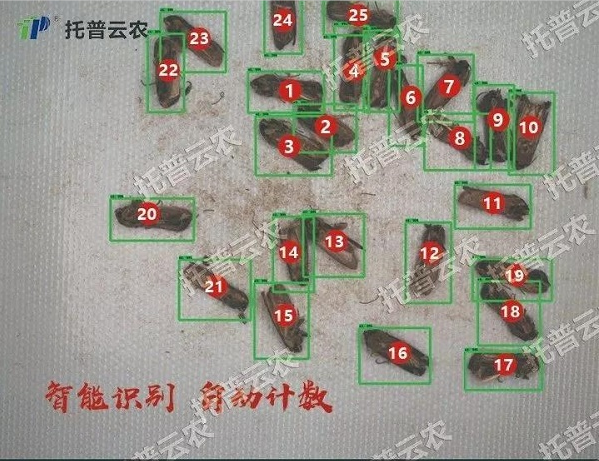 �����R(sh��)�e