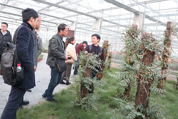 ��Ӗ(x��n)�����^�������r(n��ng)�R�ֻ���