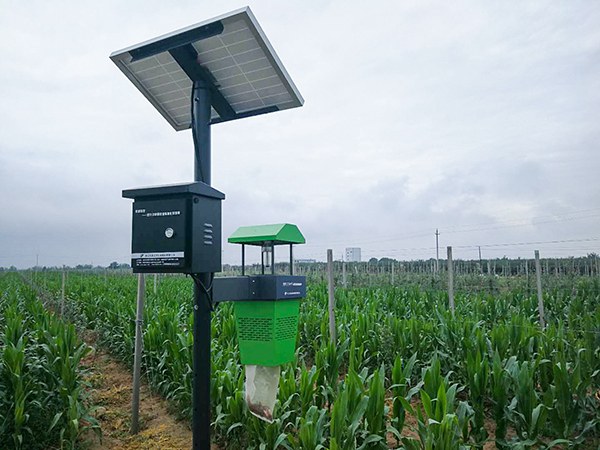 �L(f��ng)��ʽ���x��