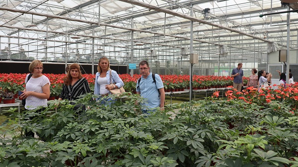 ���ް�һ���ڬF(xi��n)���r(n��ng)�I(y��)�a(ch��n)�I(y��)�@�F(xi��n)���^Ħ6