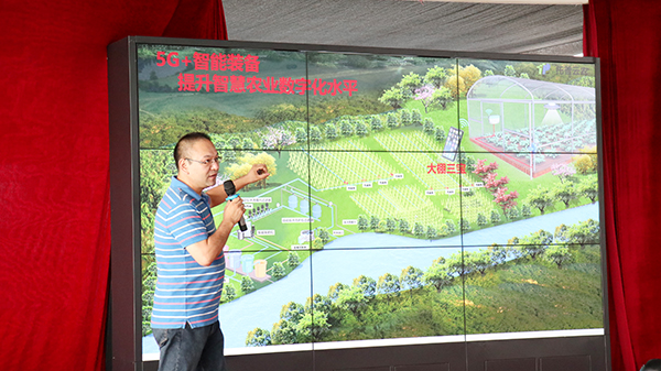 �X�i��B5G���r(n��ng)�I(y��)���������P����