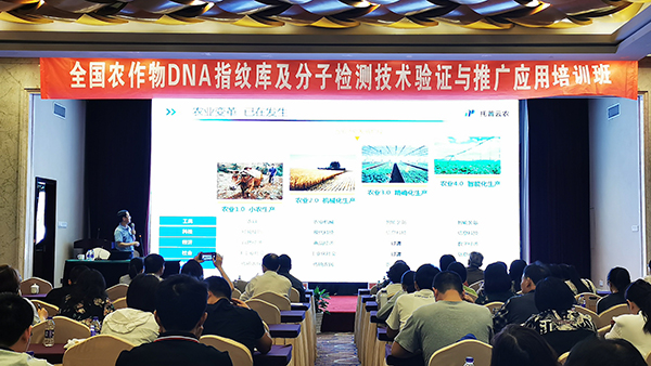 2019ȫ��(gu��)�N�әz�(y��n)���g(sh��)��Ӗ(x��n)���ں����_(k��i)