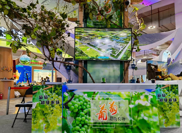 �����r(n��ng)��