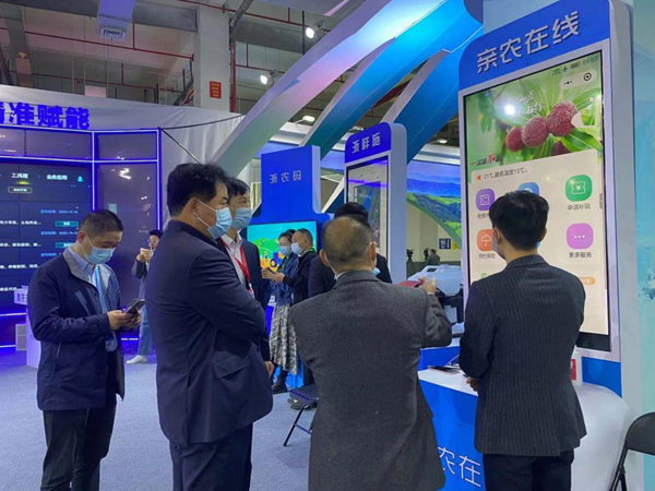 �㽭�r(n��ng)�I(y��)�r(n��ng)��d�ƶ��۸��d�L ȡ���H�r(n��ng)�ھ������P(gu��n)�R��