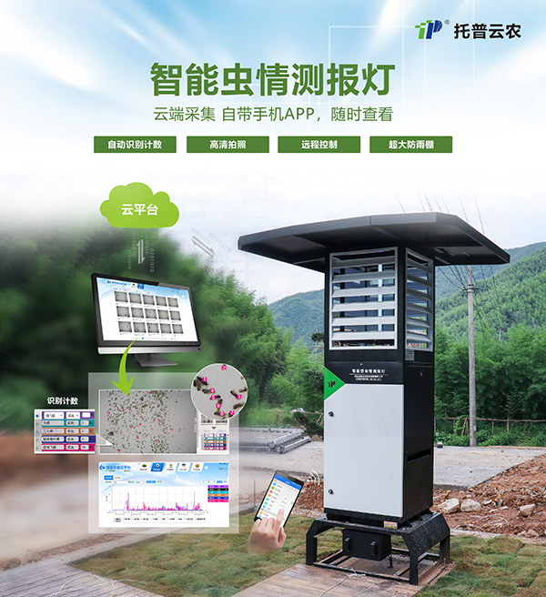 �����x��y��(b��o)����׃���y(t��ng)ֲ���y��(b��o)��ʽ