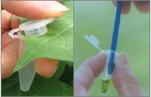 �z�y�D(zhu��n)�����ԇ���l