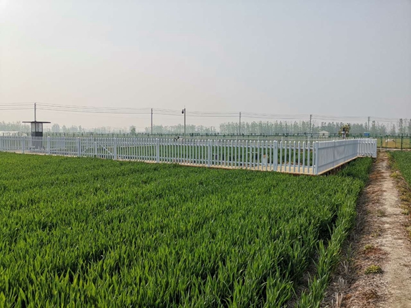 �������r(n��ng)�c���Kֲ��ֲ�zվ�����w�r(n��ng)�����ĺ������������f(xi��)�h