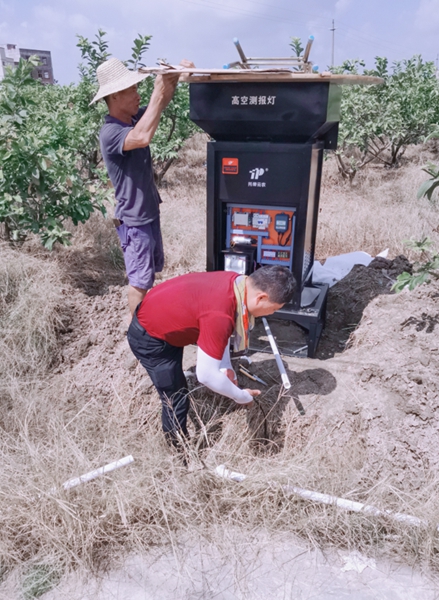 ����(w��)Ⱥ��