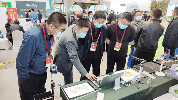 ���I(l��ng)��(d��o)�����W�R�������r(n��ng)չλ