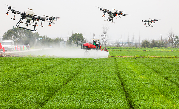 �������֡��o���r(n��ng)����