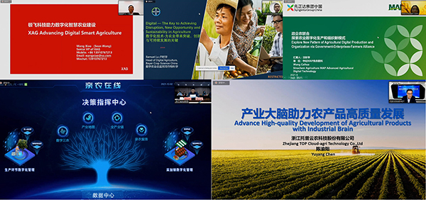 �е�(sh��)���r(n��ng)�I(y��)��Q������ӑ��(hu��)