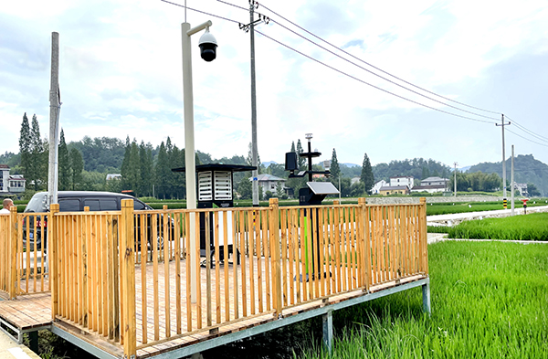 �R��̫�(y��ng)�(zh��n)��(sh��)�ֻ��ߘ�(bi��o)��(zh��n)�r(n��ng)�(sh��)���D