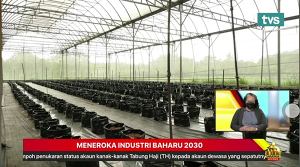 �������r(n��ng)��(sh��)���r(n��ng)�I(y��)��Q�������R�������đ��È���