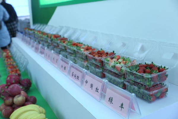 �ƽ��(hu��)�F(xi��n)��(ch��ng)