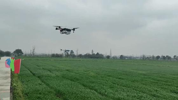 �o(w��)�˙C(j��)����