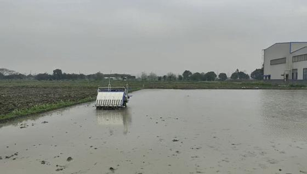 �o(w��)���{����C(j��)