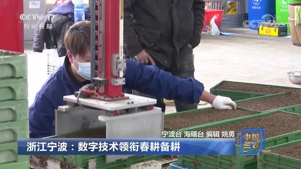 ���㽭��������(sh��)�ּ��g(sh��)�I(l��ng)㕴������������