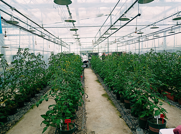 ʒɽ�F(xi��n)���r(n��ng)�I(y��)ʾ���^(q��)