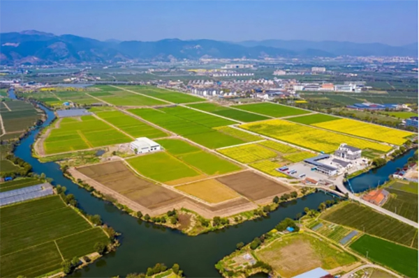 ���ִ��(sh��)���r(n��ng)�I(y��)�(xi��ng)Ŀ���O(sh��)��Ч