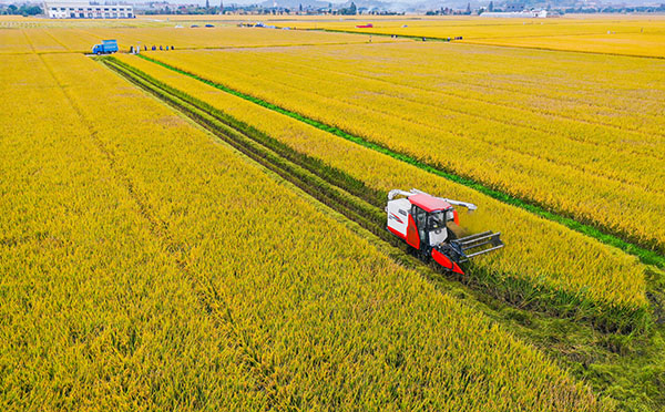 ���ִ��(sh��)���r(n��ng)�I(y��)�(xi��ng)Ŀ���O(sh��)��Ч