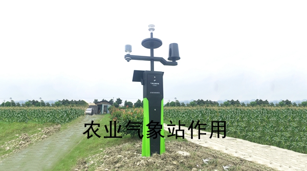 �r(n��ng)�I(y��)����վ����