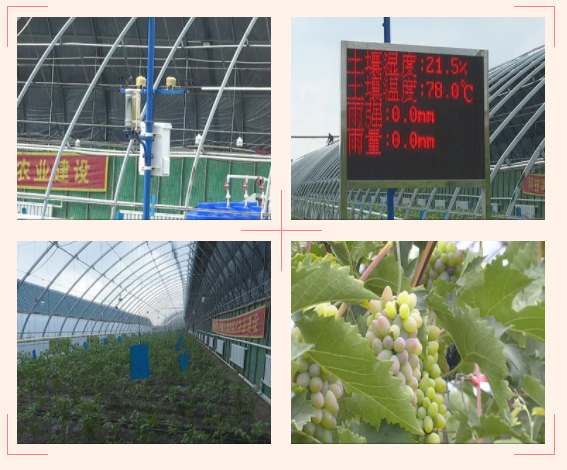 ���_�^(q��)���񲨵Ĳ�ժ�@