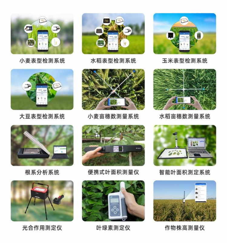 ���N���܃x��