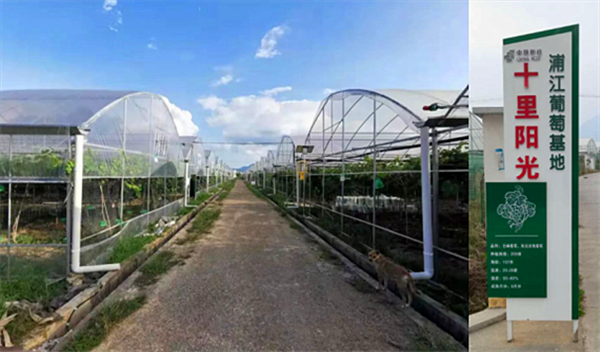 ���A�ֽ��������r(n��ng)����