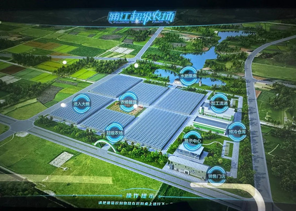 �ֽ��������r(n��ng)����