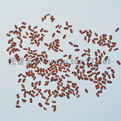 С����(sh��)��